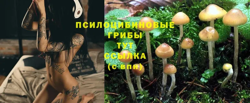 гидра tor  Томари  Псилоцибиновые грибы MAGIC MUSHROOMS  цена  